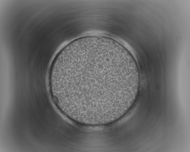 X0000111130997200908111035