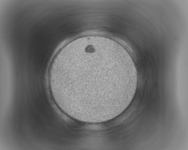 X0000111130998200908111035