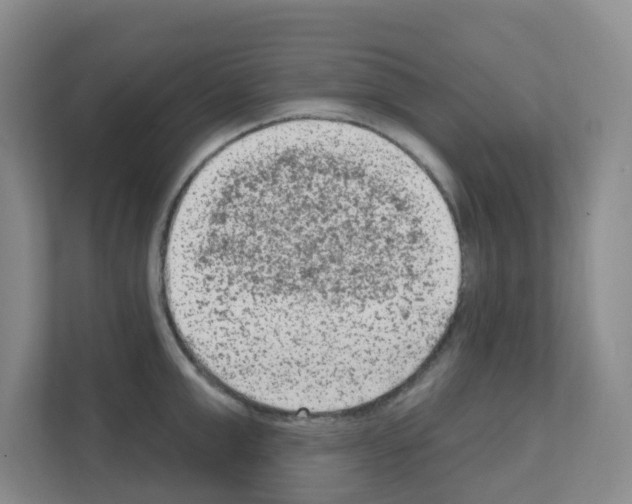 X0000111130999200908111035