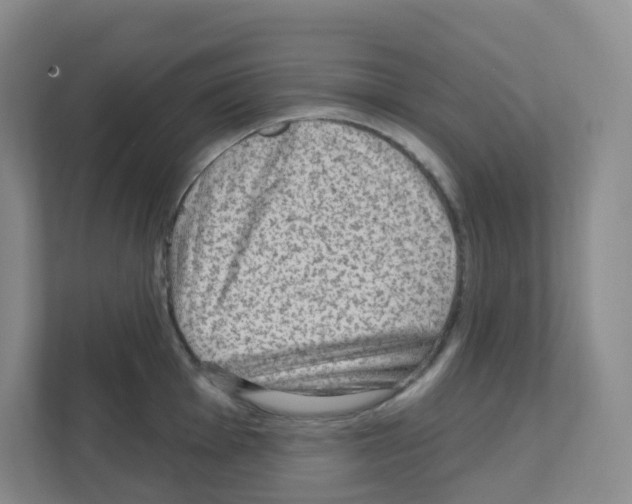 X0000111131001200908111035