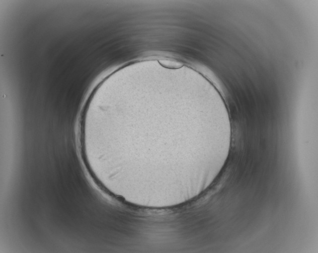 X0000111131003200908111035