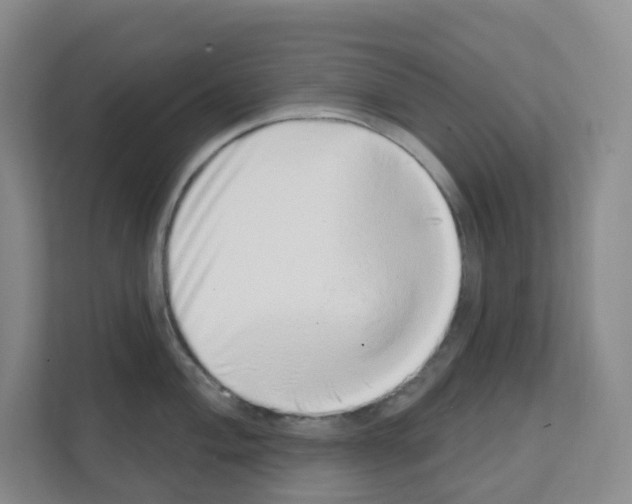 X0000111131004200908111035