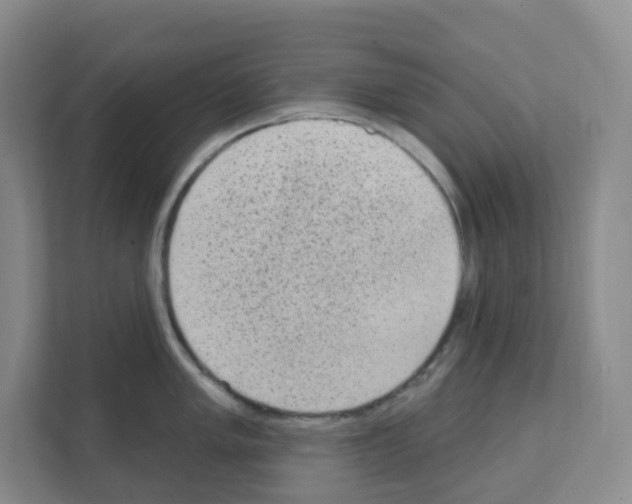 X0000111131005200908111035