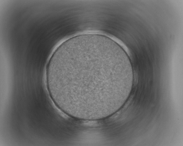X0000111131006200908111035
