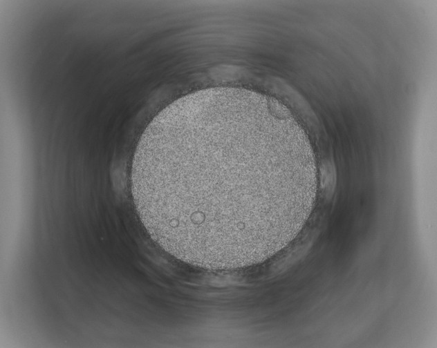 X0000111131011200908111034