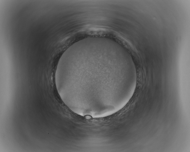 X0000111131013200908111034