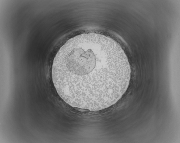 X0000111131016200908111034