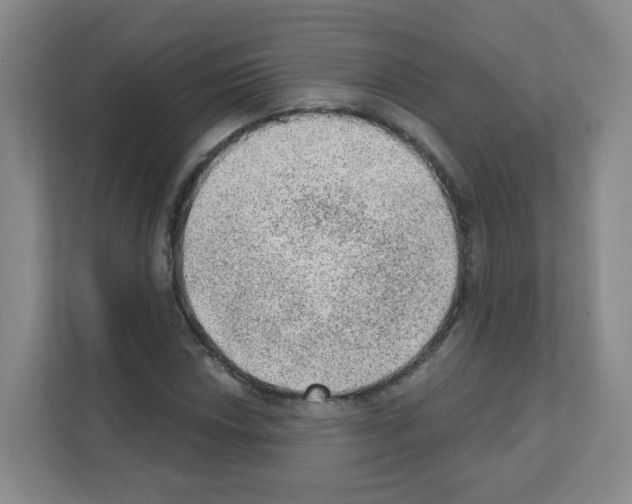 X0000111131018200908111035