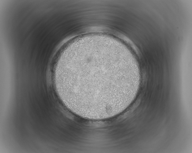 X0000111131019200908111035