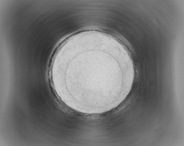 X0000111131020200908111035