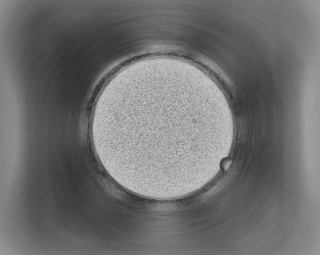 X0000111131021200908111035