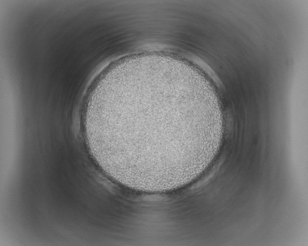 X0000111131023200908111035