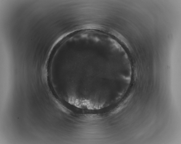 X0000111131024200908111035