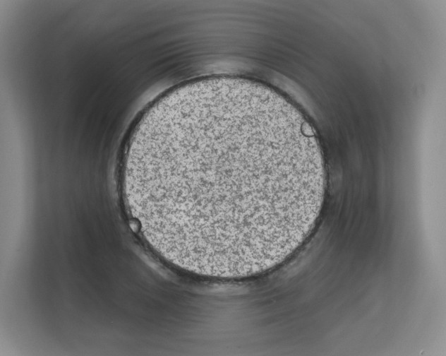 X0000111131026200908111035
