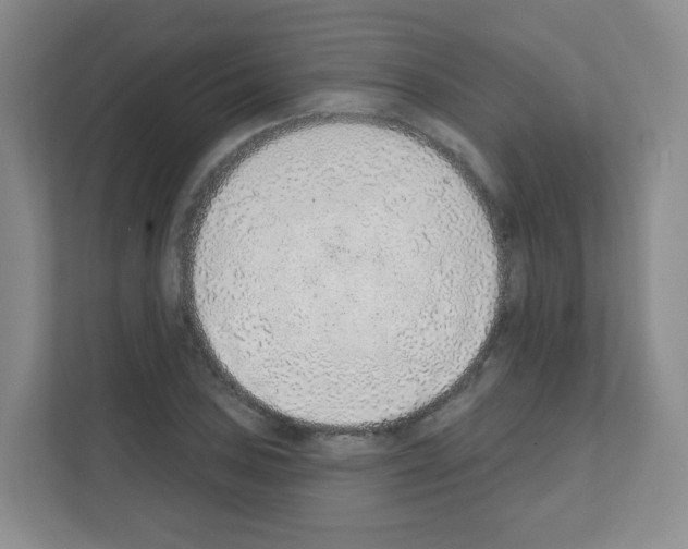 X0000111131027200908111035