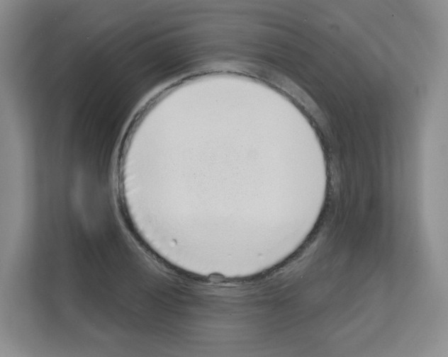 X0000111131028200908111035