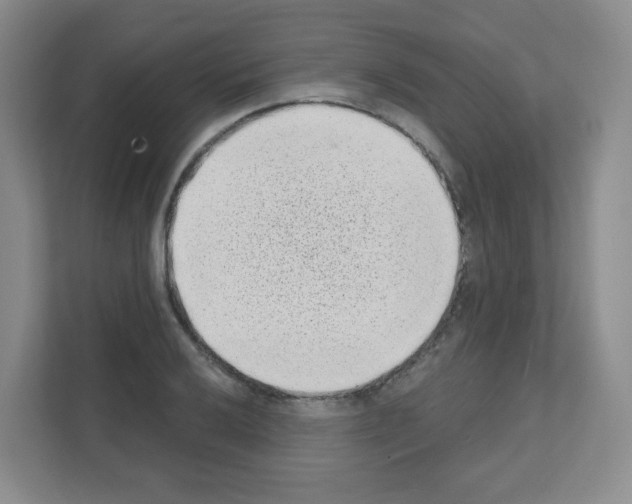 X0000111131032200908111035
