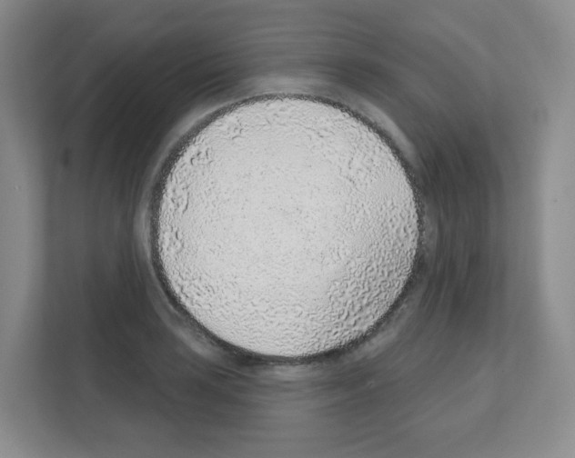 X0000111131035200908111035