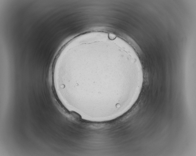 X0000111131036200908111035