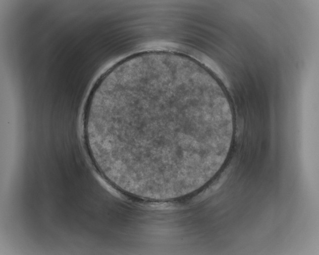 X0000111131037200908111035