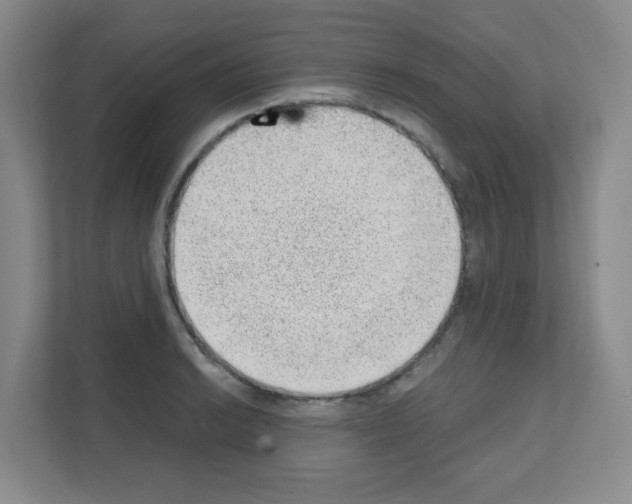 X0000111131038200908111035