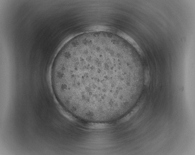 X0000111131039200908111035