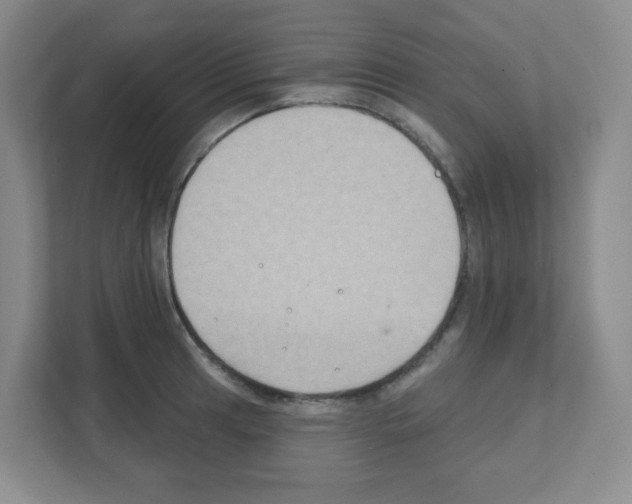 X0000111131041200908111035