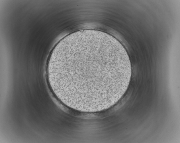 X0000111131042200908111035