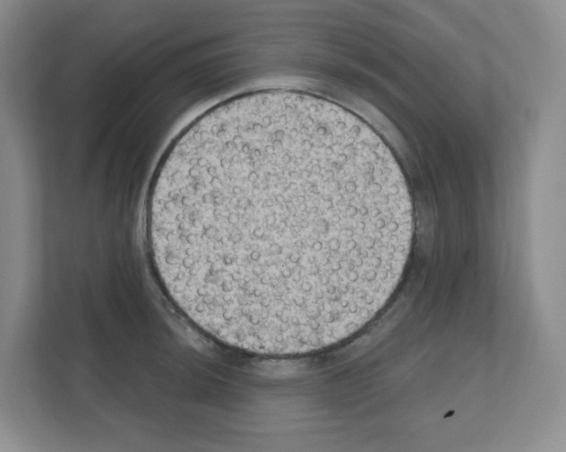 X0000111131044200908111035