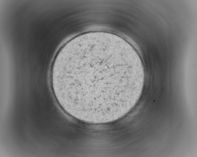 X0000111131045200908111035