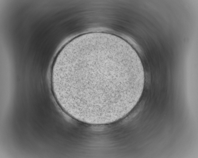X0000111131046200908111035