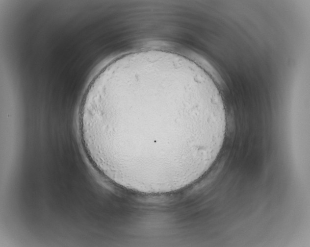 X0000111131047200908111035