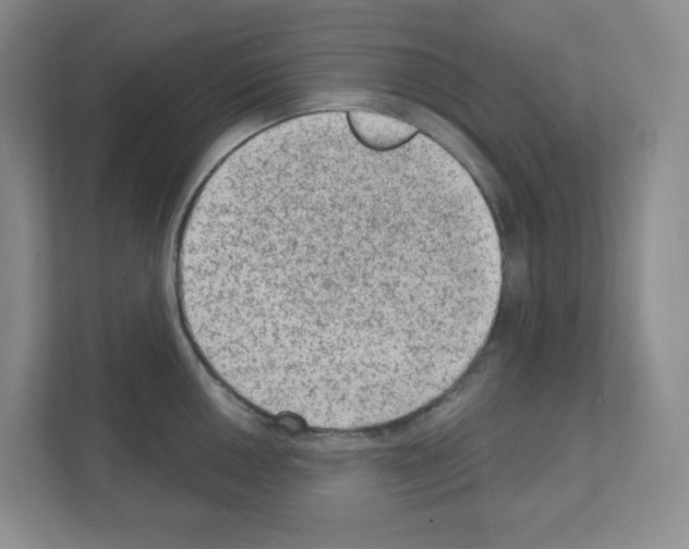X0000111131050200908111035