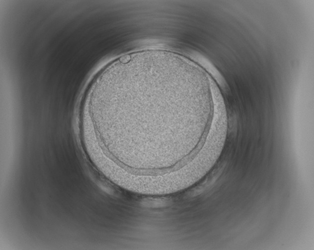 X0000111131051200908111035