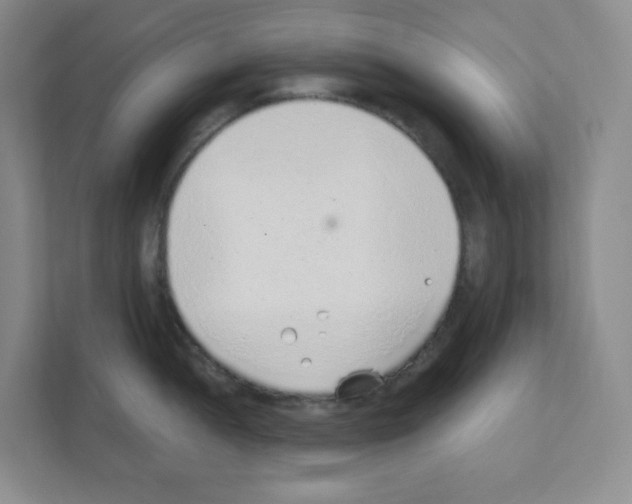 X0000111131052200908111035