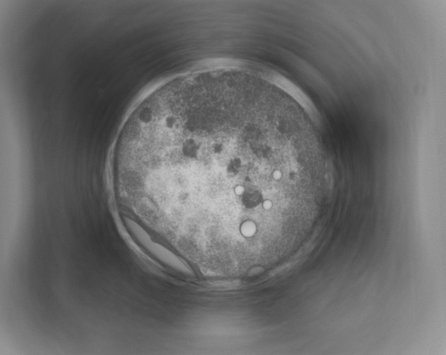 X0000111131055200908111035