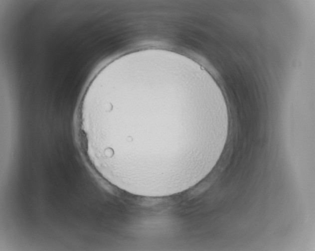 X0000111131056200908111035