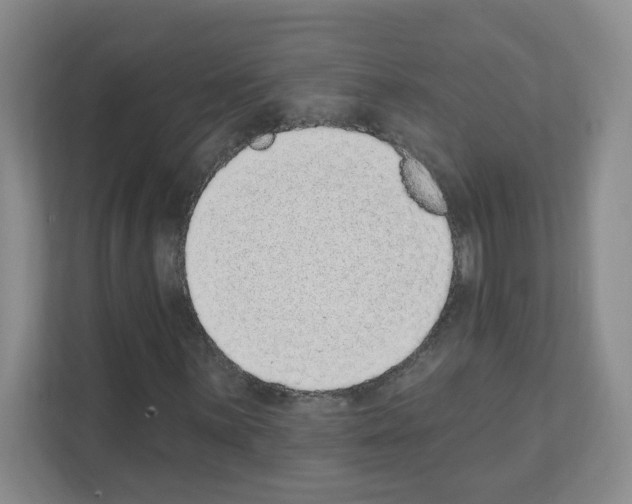 X0000111131059200908111034