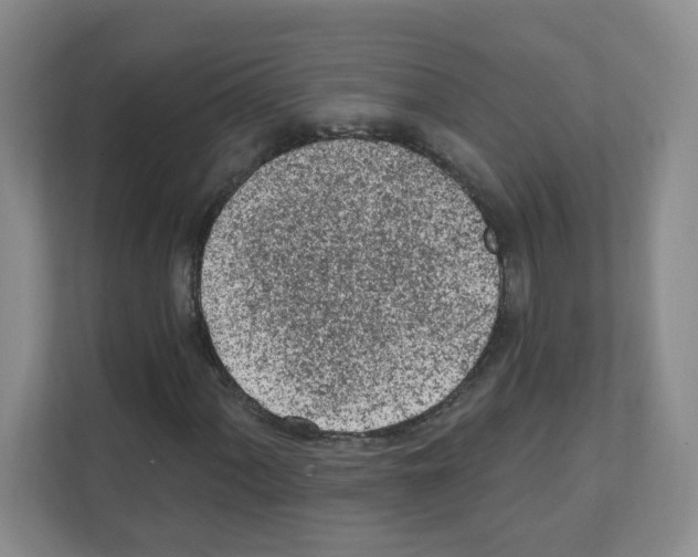 X0000111131060200908111034