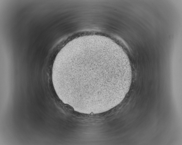X0000111131064200908111034