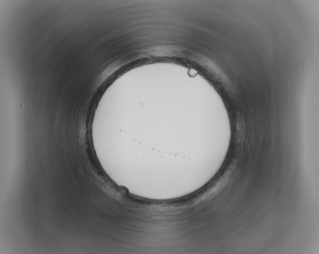 X0000111131065200908111034