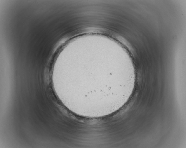 X0000111131067200908111034