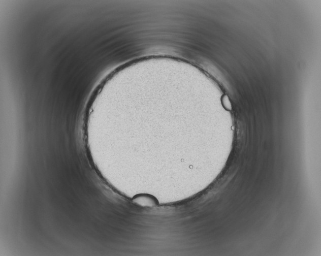 X0000111131068200908111034
