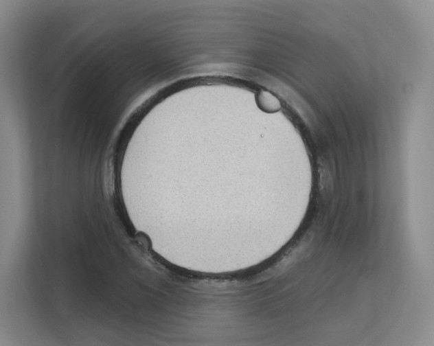 X0000111131069200908111034