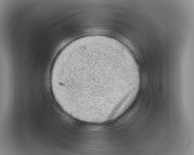 X0000111131071200908111034