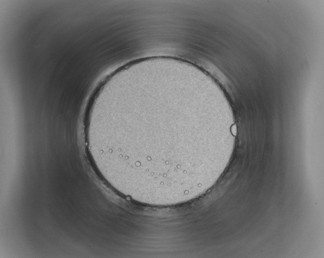X0000111131072200908111034