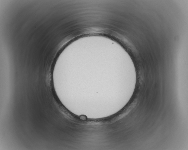 X0000111131073200908111034
