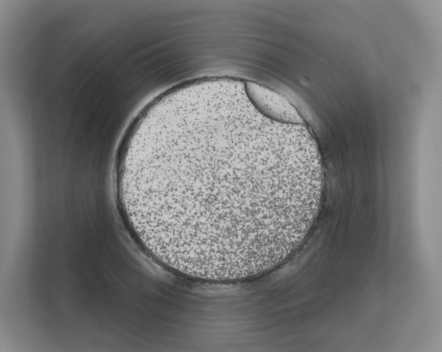 X0000111131076200908111034