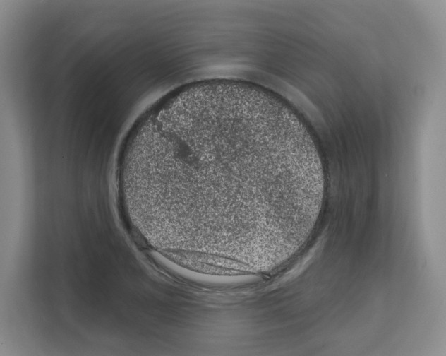 X0000111131077200908111034