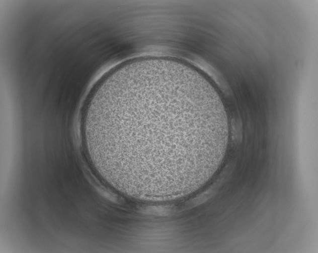 X0000111131078200908111034